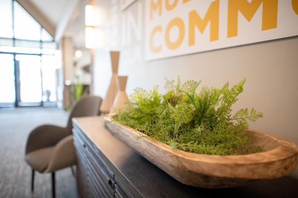 Sarah Moneybrake Interior Design