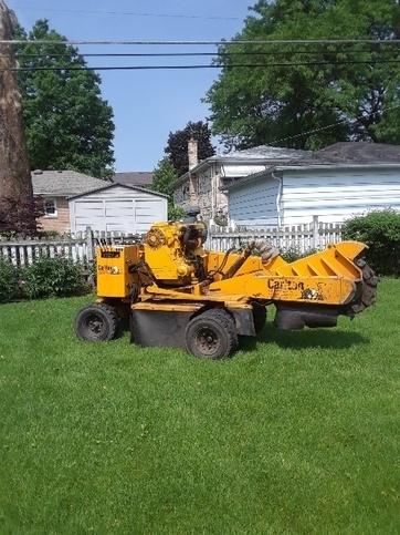 Birchwood Tree Services