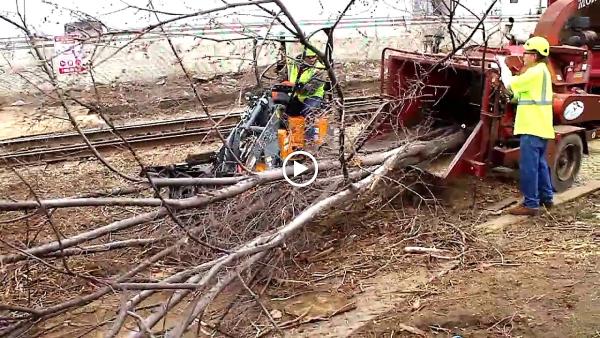 Birchwood Tree Services