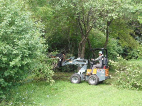 Birchwood Tree Services