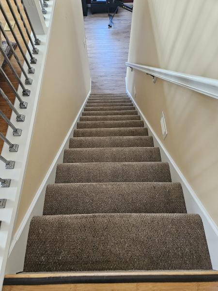 Absolute Carpet Care