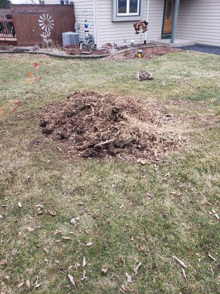 Strike Tree Services LLC