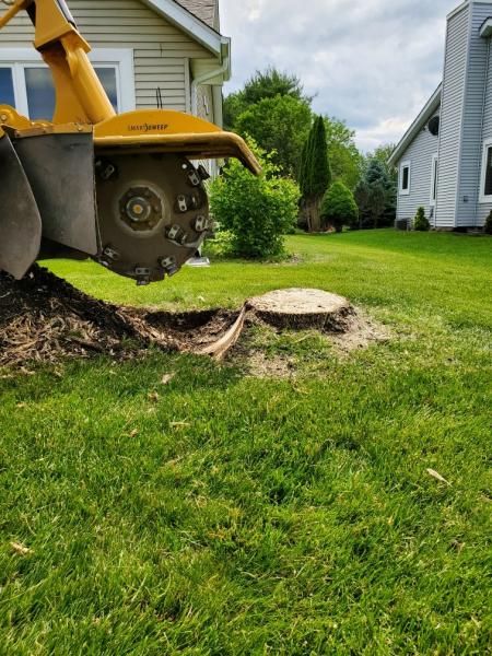 Strike Tree Services LLC