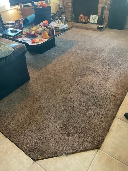 Xtreme Cleaning