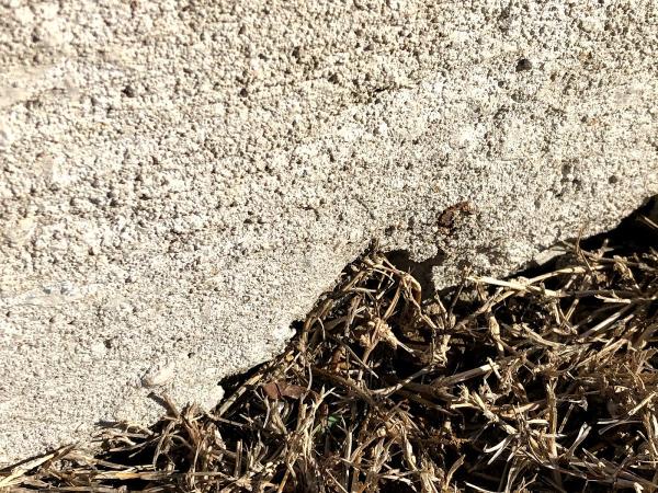 Salinas Concrete LP