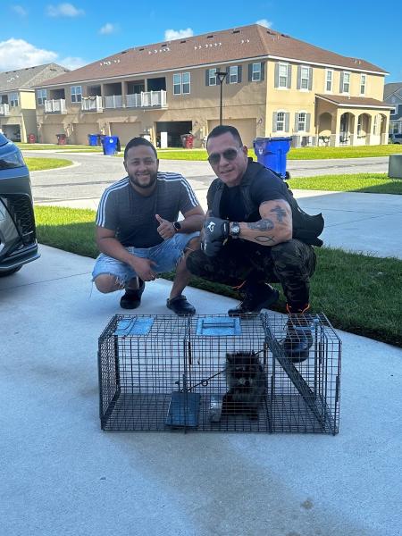 Commando Pest Control & Trappers