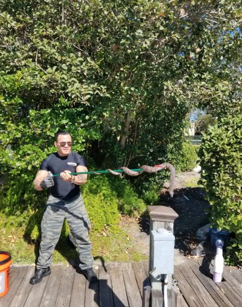 Commando Pest Control & Trappers