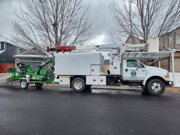 Neighborhood Arbor Care