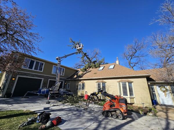 Neighborhood Arbor Care