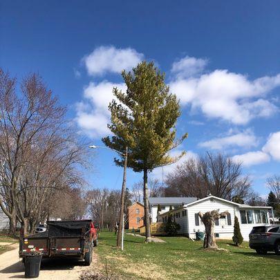 Stallworth's Tree Service Huntsville