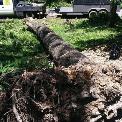 Stallworth's Tree Service Huntsville