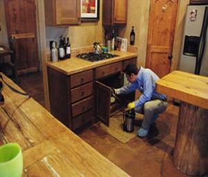 Pest Defense Solutions OKC