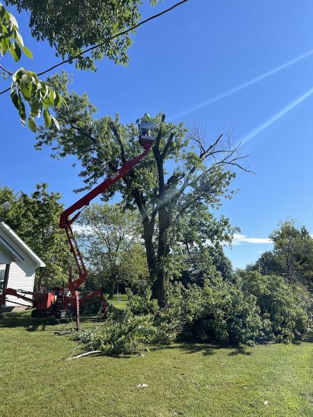 Cevet Tree Care