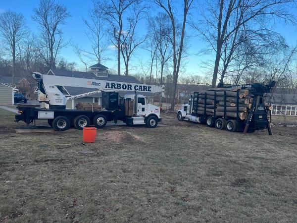 Arbor Care Tree Service