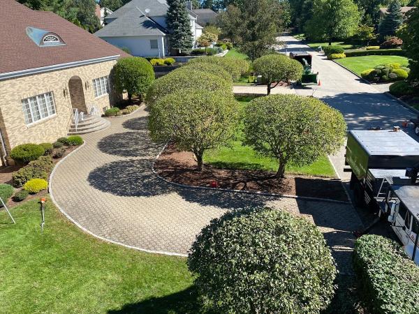 Arbor Care Tree Service