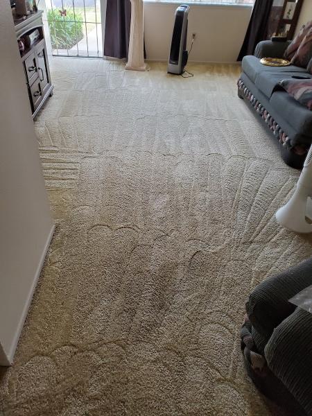 Clean it Right Carpet Care