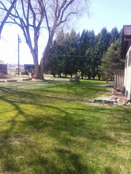 Abe's Landscape and Maintenance