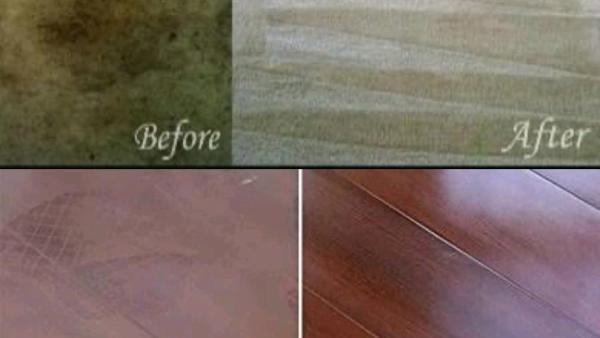 Wolfsteam Cleaning Solutions