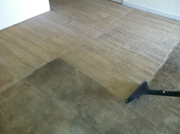 Wolfsteam Cleaning Solutions