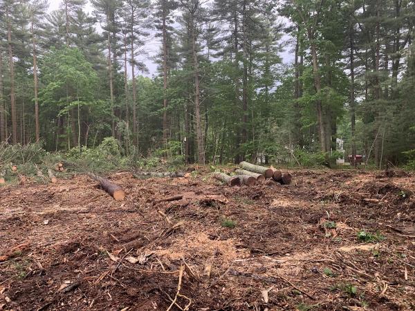Scott Johnson Land Clearing