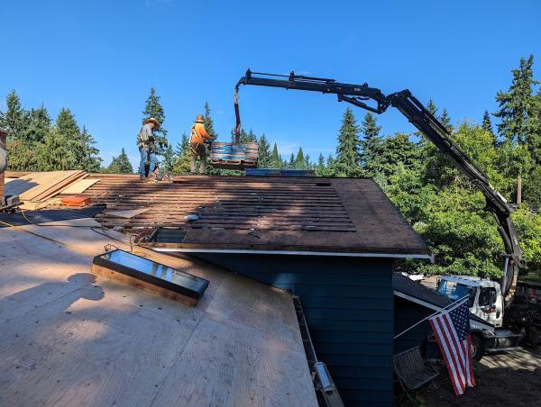 All Access Roofing & Gutters