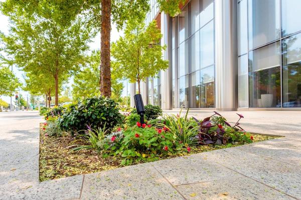 Focal Pointe (Formerly Signature Landscape)