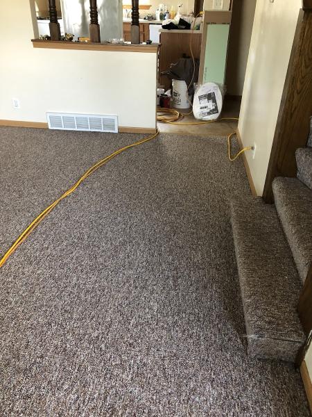 Steve's Carpet Clean Rx