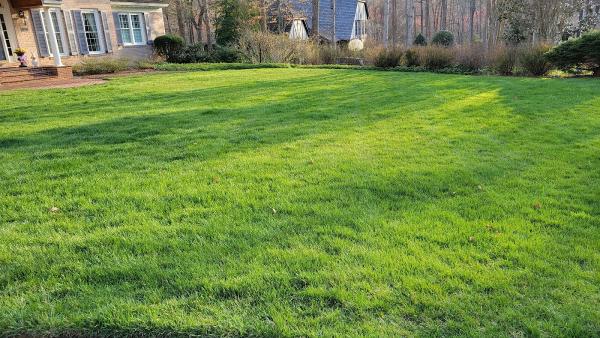 Nuleaf Lawn Care