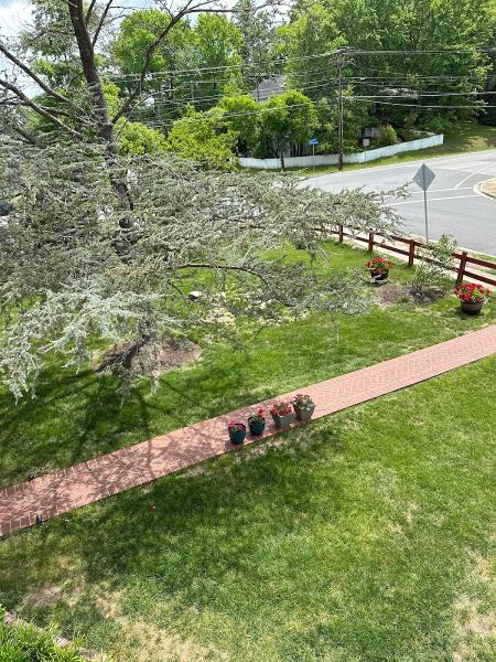 Nuleaf Lawn Care