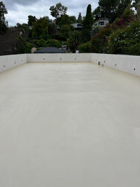 LG Painting & Deck Coating