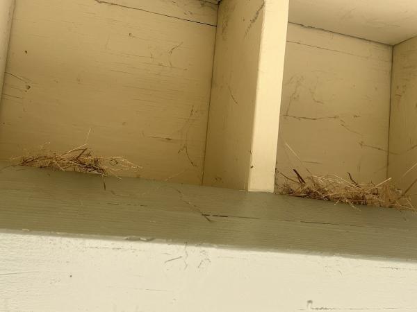 Atco Pest Control