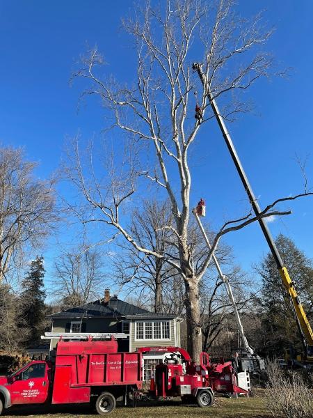 Van Yahres Tree Company