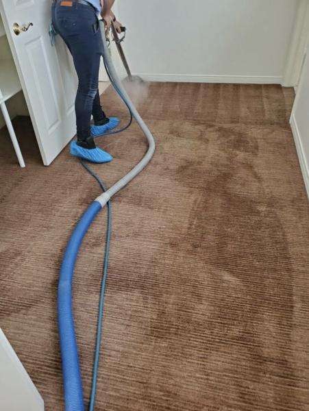 Red Carpet Steam Cleaning