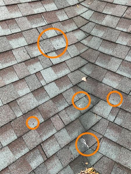 True View Home Inspections LLC