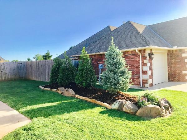 Top Notch Tree and Landscape