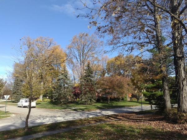 Hundich Landscape Services Inc.