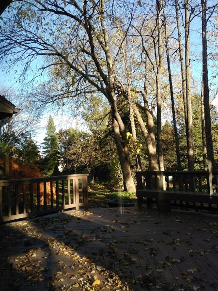 Hundich Landscape Services Inc.