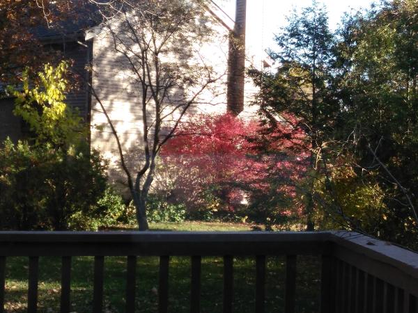 Hundich Landscape Services Inc.