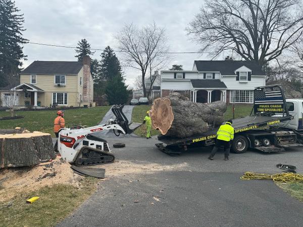 717-Arborist LLC