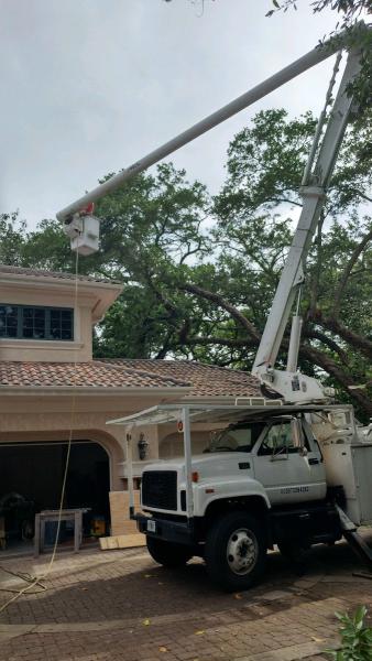 Ron's Tree Services