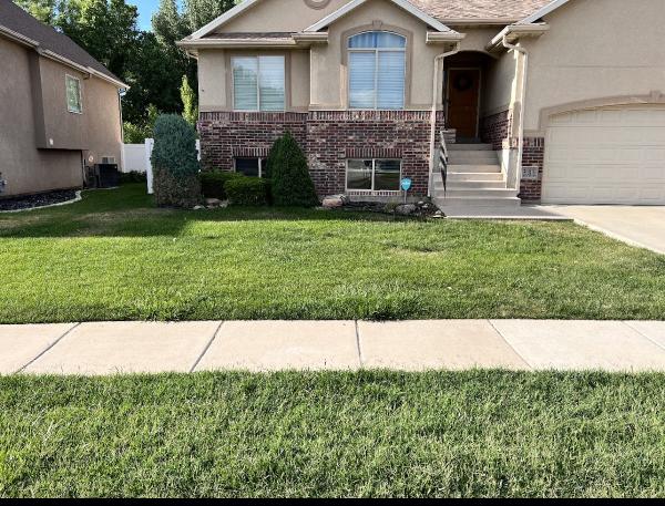 Smart Grass Pest and Lawn
