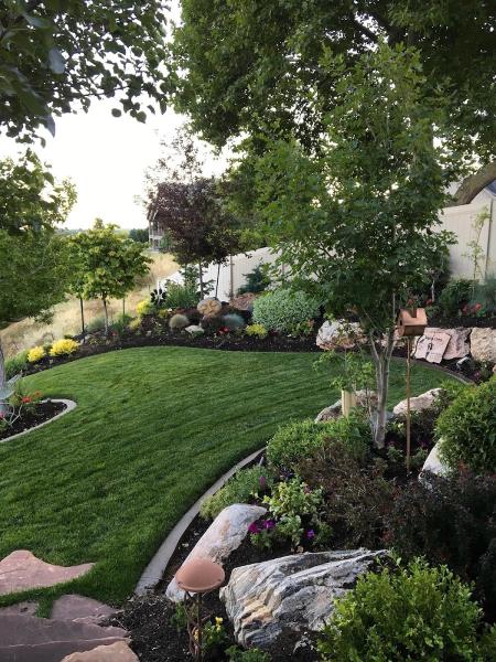 Smart Grass Pest and Lawn