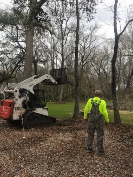 Acadiana Tree Service & Stump Removal