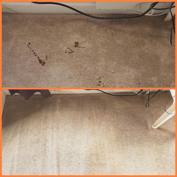 Citrus Carpet Cleaning Buford GA