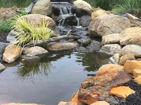 Zenone Land & Waterscapes