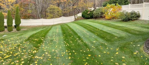 Steve's Services Landscaping / Irrigation & Contracting Inc