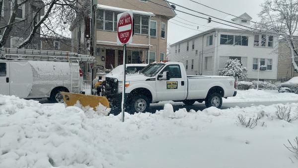 Steve's Services Landscaping / Irrigation & Contracting Inc