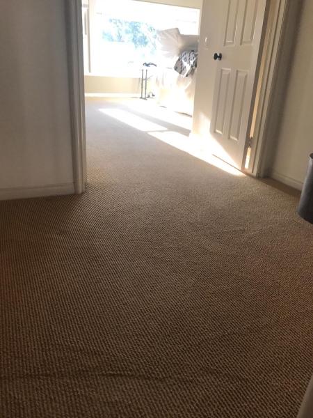 Local Lake Forest Carpet Cleaning