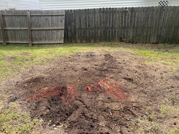 South Eastern VA Tree Service