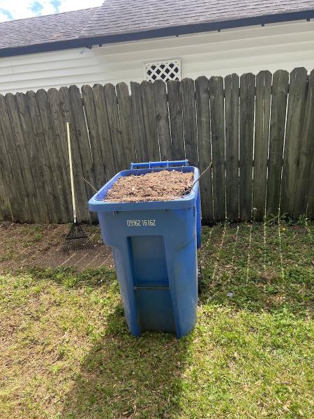 South Eastern VA Tree Service